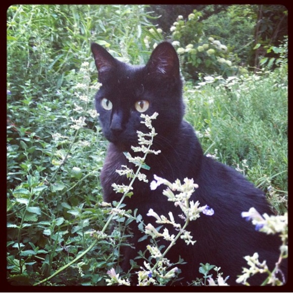 Meet your Posher, Amy Kathleen ๐ Posh Ambassador ๐ - Picture 6 of 10